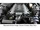 Procharger High Output Intercooled Supercharger Tuner Kit with P-1SC-1; Black Finish (15-17 Mustang GT)