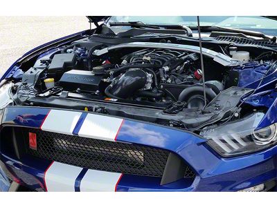 Procharger Stage II Intercooled Supercharger Complete Kit with P-1SC-1; Black Finish (15-20 Mustang GT350)