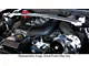 Procharger Stage II Intercooled Supercharger Complete Kit with P-1SC-1; Black Finish (11-14 Mustang GT)