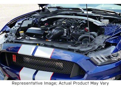 Procharger Stage II Intercooled Supercharger Complete Kit with P-1SC-1; Satin Finish (15-20 Mustang GT350)