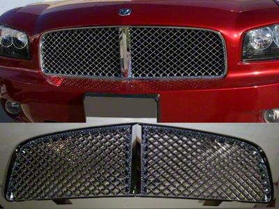 Billet Upper Grille Overlay; Stainless Steel (06-10 Charger)