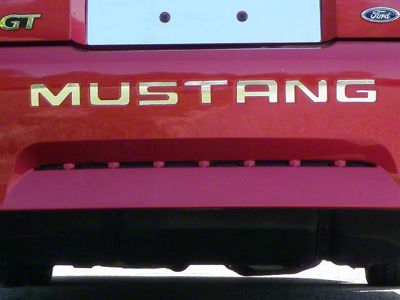 MUSTANG Rear Bumper Letter Inserts; Stianless Steel (99-04 Mustang)