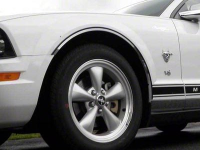 Wheel Well Accent Trim; Stainless Steel (05-09 Mustang)