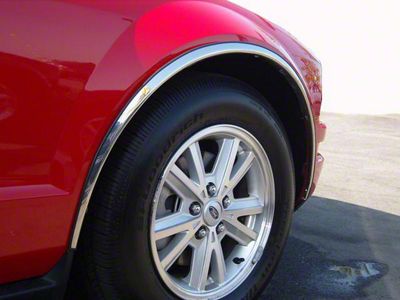 Wheel Well Fender Trim Molding; Stainless Steel (05-09 Mustang)