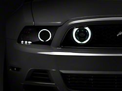 Raxiom CCFL Halo Fog Lights; Chrome (13-14 Mustang GT)