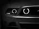 Raxiom CCFL Halo Fog Lights; Chrome (13-14 Mustang GT)