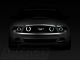 Raxiom CCFL Halo Fog Lights; Chrome (13-14 Mustang GT)