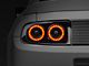 Raxiom Smoked Dual Halo LED Tail Lights (13-14 Mustang)