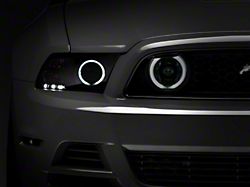 Raxiom CCFL Halo Fog Lights; Smoked (13-14 Mustang GT)