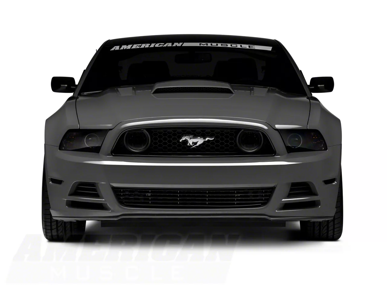 Raxiom Mustang CCFL Halo Fog Lights; Smoked 49177 (13-14