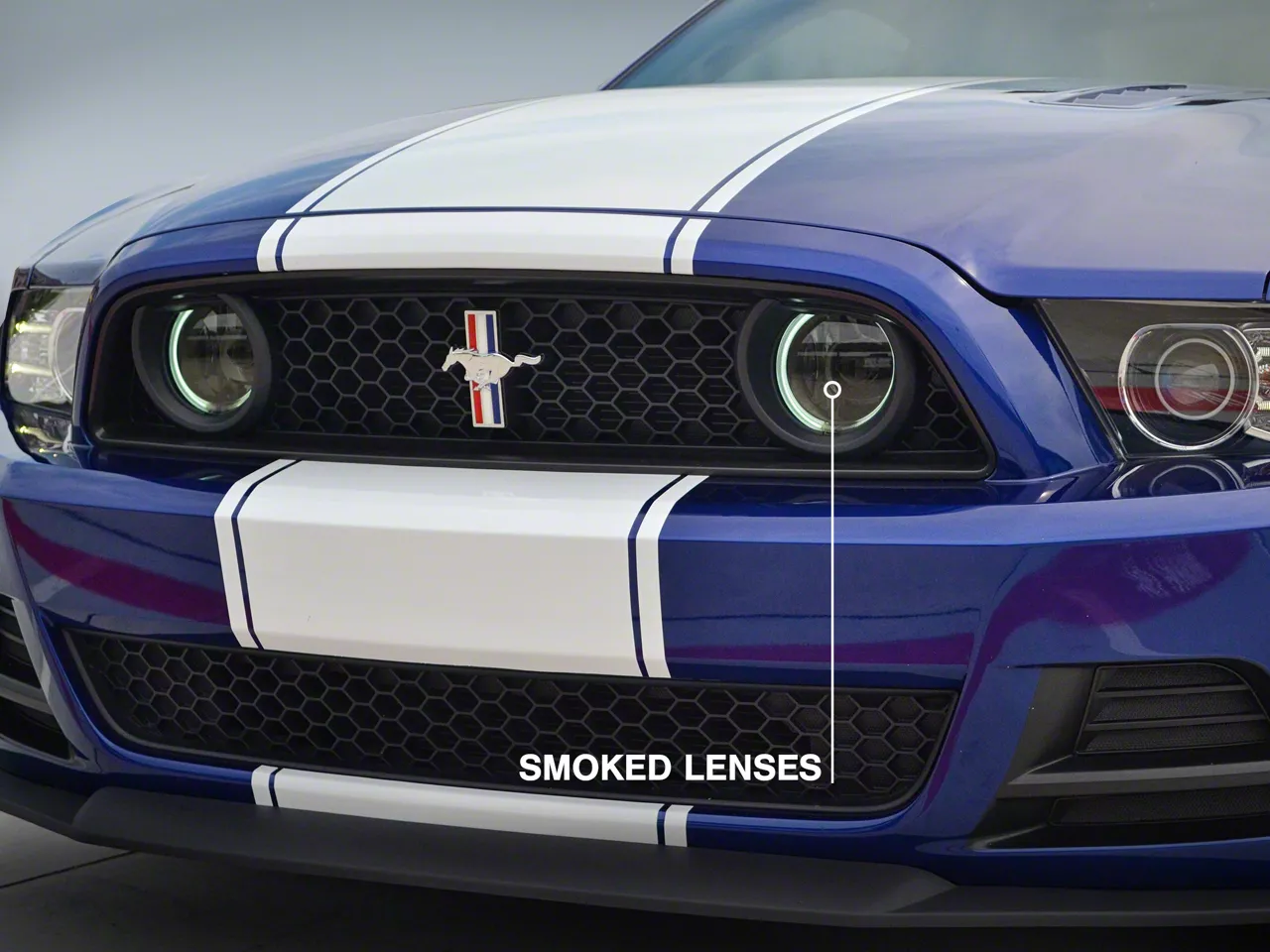Raxiom Mustang CCFL Halo Fog Lights; Smoked 49177 (13-14