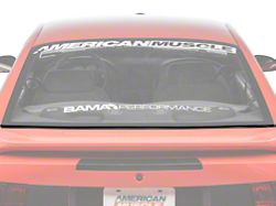 Ford Rear Lower Window Glass Molding (94-04 Mustang)