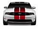 SEC10 GT500 Style Stripes; Red; 10-Inch (05-14 Mustang)