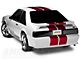SEC10 GT500 Style Stripes; Red; 10-Inch (79-93 Mustang)