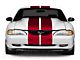 SEC10 GT500 Style Stripes; Red; 10-Inch (94-04 Mustang)