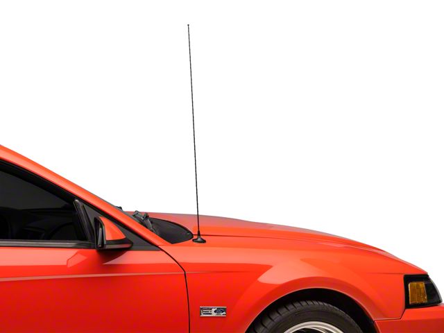 Ford Full Replacement Black Antenna Kit (99-04 Mustang)
