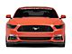 Front Splitter; Carbon Fiber (15-17 Mustang GT, EcoBoost, V6)