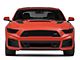 Roush Front Fascia Lower Grille (15-17 Mustang w/ Roush Fascia)