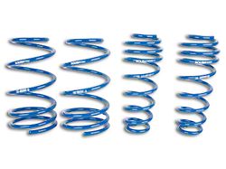 Roush Lowering Springs (05-14 Mustang GT, V6)