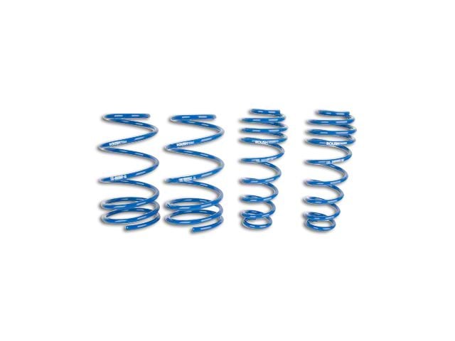 Rouch Spring Roush Mustang Lowering Springs 404472 (05-14 Mustang GT, V6) - Free ...
