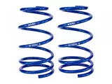 Roush Lowering Springs (05-14 Mustang GT)
