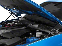 Roush Hood Strut Kit (15-23 Mustang GT, EcoBoost, V6)