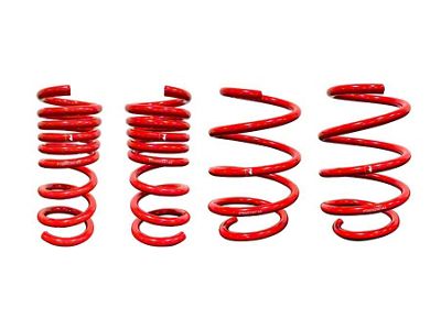 Roush Lowering Springs (15-25 Mustang GT, EcoBoost w/o MagneRide)