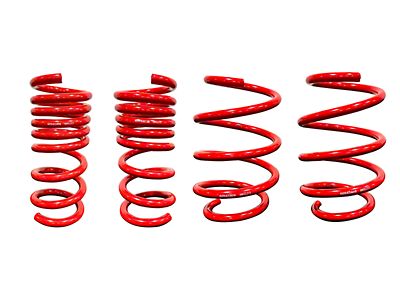 Eibach Pro-Kit E10-35-008-01-22.1 – Molle Ribassate Per Ford Mustang 4.0/4.6/5.4 V8, Abbassamento 30mm - 4