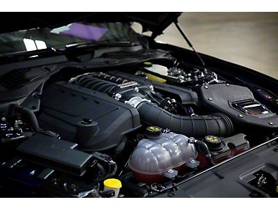 2015-2023 Mustang Batteries | AmericanMuscle