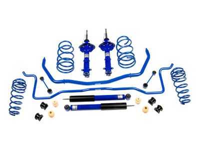 Roush Stage 2 Suspension Kit (05-10 Mustang GT)