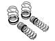 RTR Tactical Performance Lowering Springs (05-14 Mustang GT Coupe, V6 Coupe)