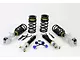 RTR Adjustable Coil-Over Kit (15-24 Mustang w/o MagneRide)