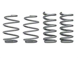 RTR Tactical Performance Lowering Springs (24-25 Mustang w/o MagneRide)