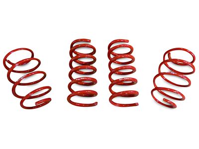 Saleen S302 Lowering Springs (15-24 Mustang GT w/o MagneRide)