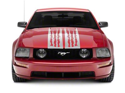 SEC10 Shredded Full Length Stripes; Sliver (05-09 Mustang)