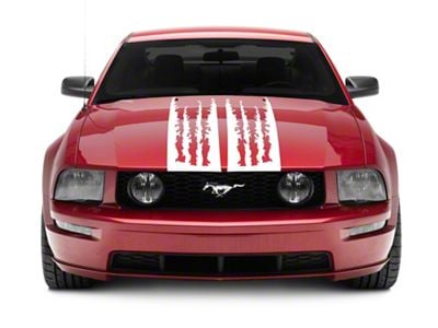 SEC10 Shredded Full Length Stripes; White (05-09 Mustang)