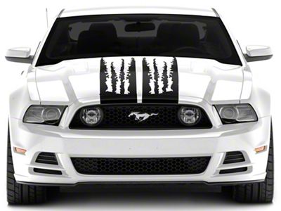 SEC10 Shredded Full Length Stripes; Gloss Black (10-14 Mustang)