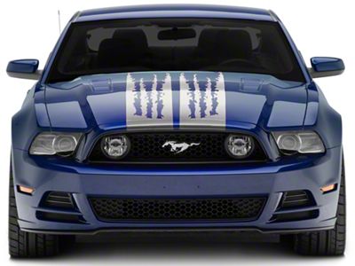 SEC10 Shredded Full Length Stripes; Sliver (10-14 Mustang)