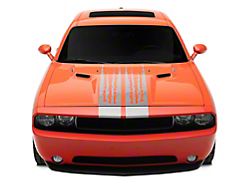 SEC10 Shredded Full Length Stripes; Sliver (08-23 Challenger)