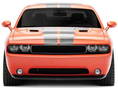 SEC10 Stripes with Hood Decal; Silver (08-14 Challenger)