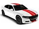 SEC10 Full Length Stripes; Red; 10-Inch (06-23 Charger)