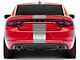 SEC10 Pin Striped Full Length Stripes; Silver (06-23 Charger)