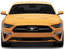 Front Bumper Paint Protection Film (15-17 Mustang GT, EcoBoost, V6)