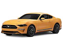 Front Bumper Paint Protection Film (18-23 Mustang GT, EcoBoost)