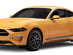 Front Fender Paint Protection Film (15-17 Mustang GT, EcoBoost, V6)