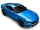 SEC10 Distressed Flag Roof Panel Decal; Matte Black (15-23 Mustang Fastback)