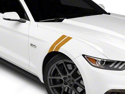 SEC10 Hash Marks; Gold (2024 Mustang)