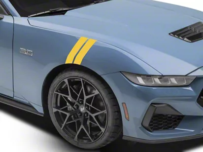 SEC10 Hash Marks; Gold (24-25 Mustang)