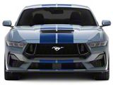 SEC10 Lemans Stripes; Blue; 10-Inch (24-25 Mustang)