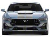 SEC10 Lemans Stripes; Silver; 10-Inch (24-25 Mustang)
